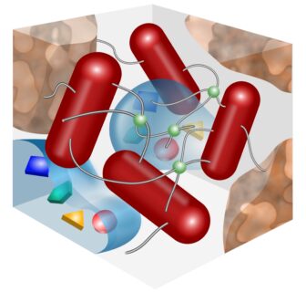 Zum Artikel "Wie Bakterien aktiv „passive“ Physik nutzen, um Biofilme zu bilden"